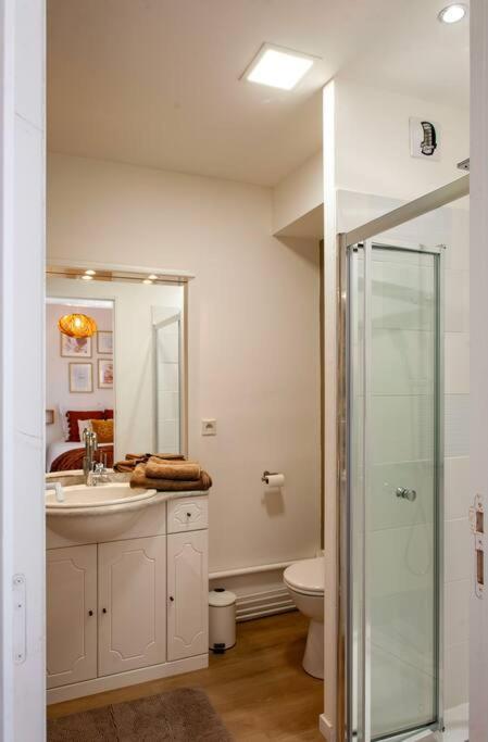 Le Cocoon - Appartement Dans Maison Du Xviieme Siecle Fougères 外观 照片
